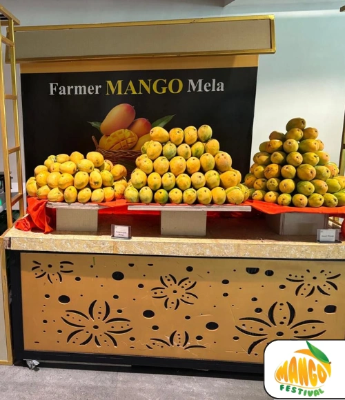Mango Festival (1)