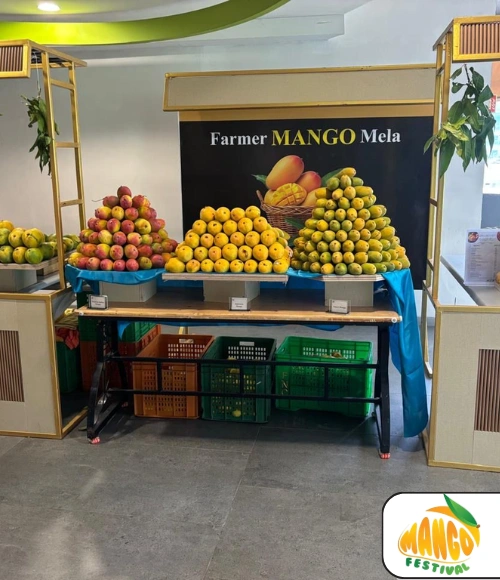 Mango Festival (2)